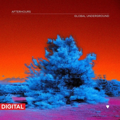 GLOBAL UNDERGROUND - GLOBAL UNDERGROUND: AFTERHOURS 9 LP