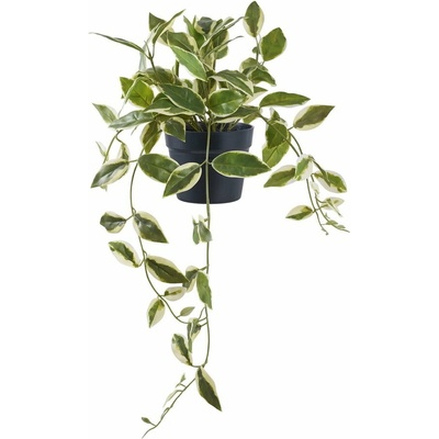 Umelá rastlina (výška 33 cm) Hoya Carnosa – House Nordic