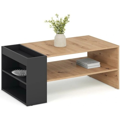 Halmar Bela 100x42 cm dub artisan / antracit