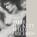 HACKETT STEVE: WILD ORCHIDS CD