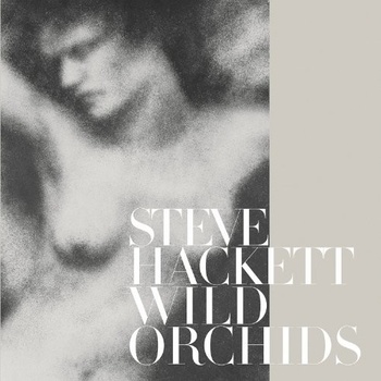 HACKETT STEVE: WILD ORCHIDS CD