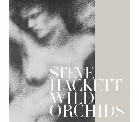 HACKETT STEVE: WILD ORCHIDS CD