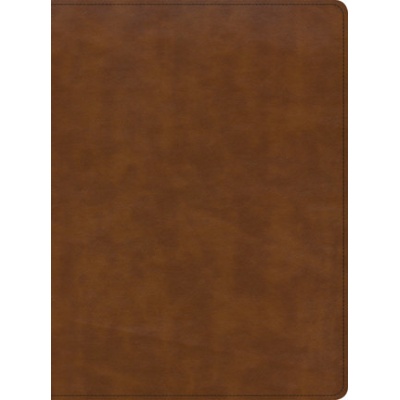 CSB Holy Land Illustrated Bible, British Tan Leathertouch: A Visual Exploration of the People, Places, and Things of Scripture Csb Bibles by HolmanImitation Leather