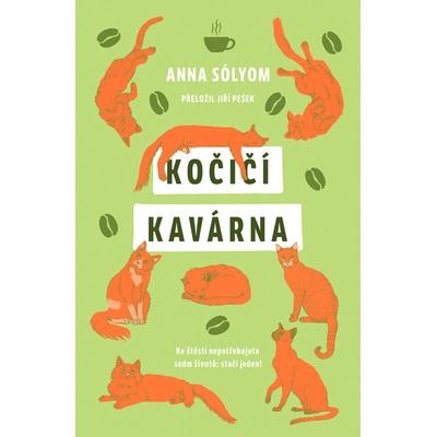 Kočičí kavárna