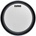Evans BD22EMADUV