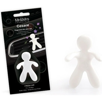 Mr&Mrs Fragrance Аромат Cesare Fresh Air (957)