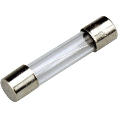 Schurter 0034.3124 pojistka 5x20mm T 5A skleněná