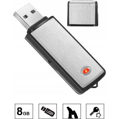 MBG Line 8 GB na baterie stříbrný