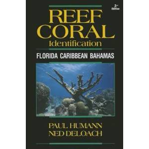 Reef Coral Identification | Paul Humann (2013)