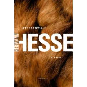Steppenwolf | Hermann Hesse (ISBN: 9780312278670)