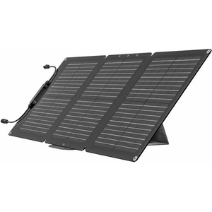 EcoFlow EFSOLAR60 60W