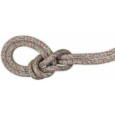Mammut 9.5 Crag We Care Classic Rope assorted 9000 70 m