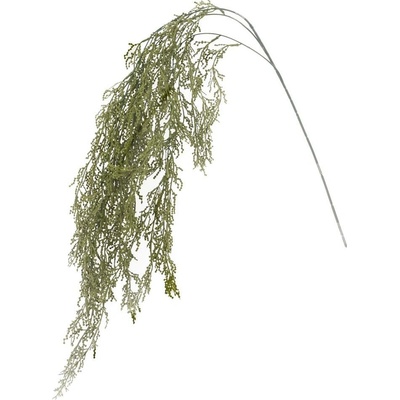 ZELEŇ KONÁR TUJA ZELENÁ 118CM