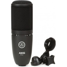 AKG P 120