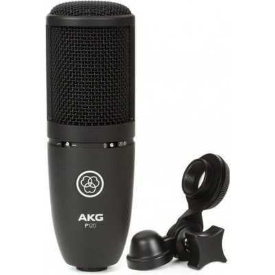 AKG P 120