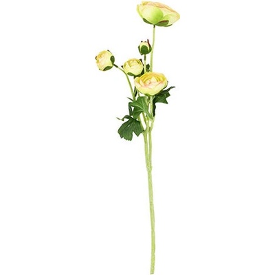 Ranunkulus 5 hláv, farbazelená. Kvetina umelá. SF1191 Art