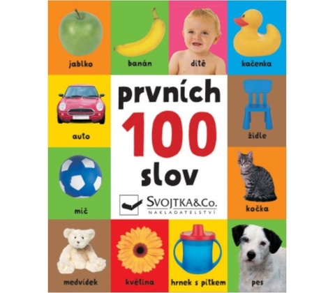 Prvních 100 slov
