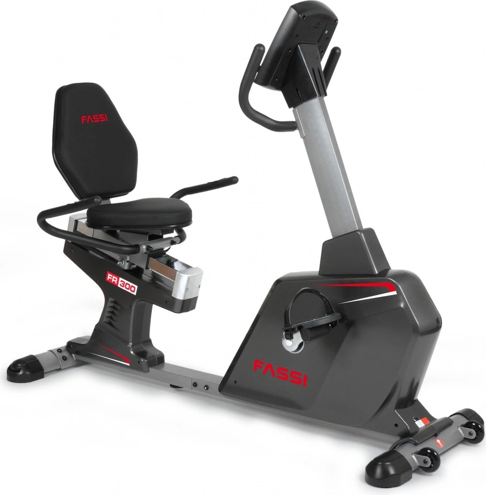 Fassi FR 300