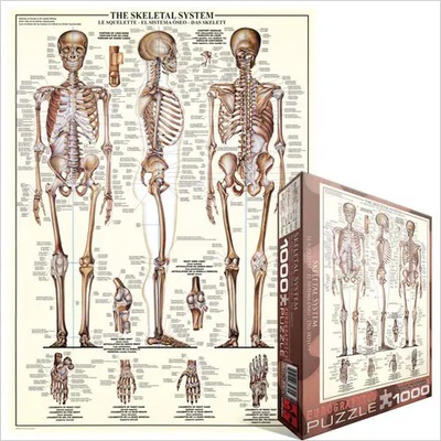 EUROGRAPHICS - Puzzle Skeleton 1 - 1 000 piese
