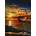 Norimpex - Puzzle Diamant painting: Glasses on the coast 30x40cm - 1 - 39 piese