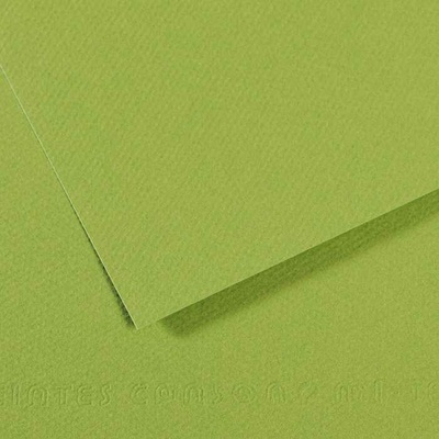 Canson Tónovaný papier Mi-Teintes 50 x 65 cm 160 g/m²Jablková zelená 475