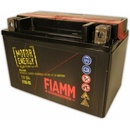 FIAMM FTX4L-BS