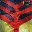 Yeah Yeah Yeahs - Show Your Bone LP