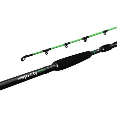 DELPHIN Catkong WALKÝRA 2,6 m 850 g 2 díly