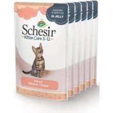 Schesir Cat Bio Kitten kuřecí 6 x 85 g