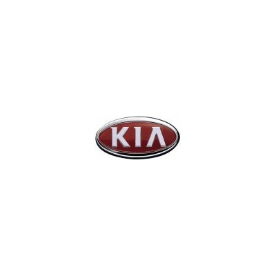 Kia perleťová farba lakovateľná 1000 ml, riedenie 1:1