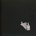 BOB MOSES - DAYS GONE BY CD