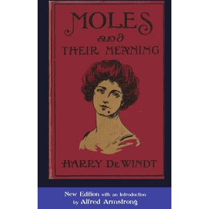 Moles and their Meaning | Harry De Windt (ISBN: 9781291870930)