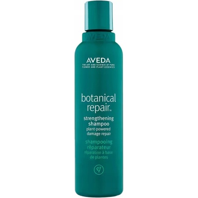 Aveda šampon pro regeneraci vlasů pro všechny typy vlasů 200 ml