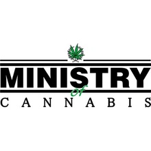 Ministry of Cannabis Blueberry Domina semena neobsahují THC 2 ks