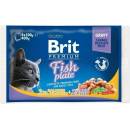 Brit Premium Cat Delicate Fillets in Gravy Cod fish, Salmon and Trout 4 x 100 g