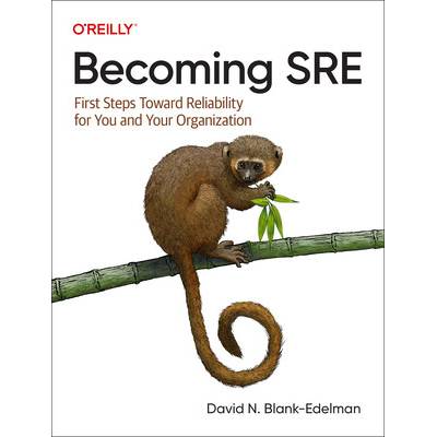 Becoming SRE: First Steps Toward Reliability for You and Your Organization Blank-Edelman David N.Paperback