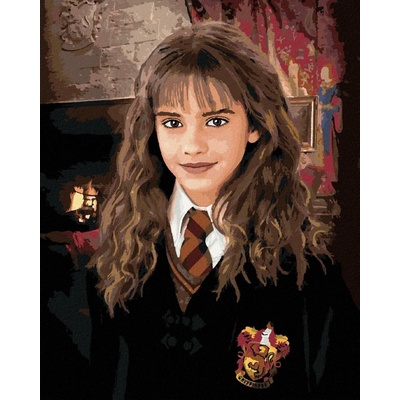 zuty Malování Podle Čísel Hermiona Portrét Harry Potter 40 x 50 Cm Plátno Rám