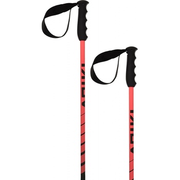 Völkl Speedstick 2025/26