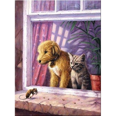 Royal Langnickel Malování obrázků podle čísel Myš je kámoš 22 x 30 cm