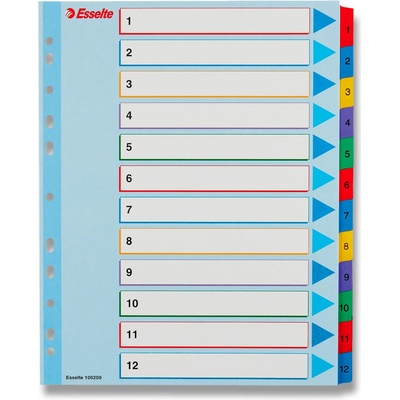 Esselte Mylar Maxi - papírový rozlišovač - 12 listů A4