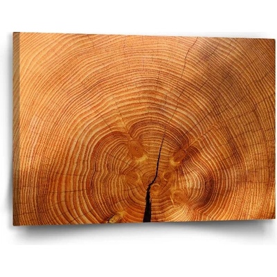 Sablio Obraz Drevo 2 - 90x60 cm