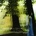 BLACKSHAW JAMES: SUNSHRINE CD