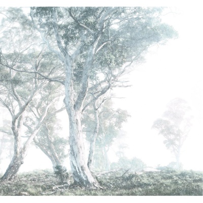 Komar Vliesová fototapeta Magic Trees rozměry 300 x 280 cm
