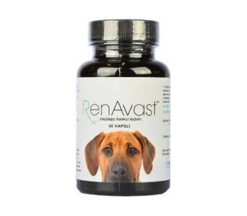 RenAvast Dog 60 tbl