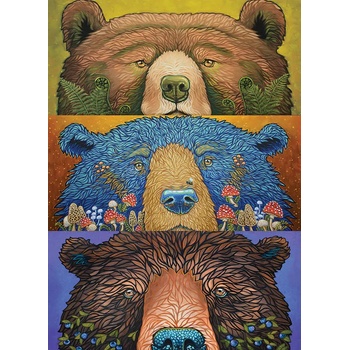 Cobble Hill - Puzzle Bear Eyes: Harvest - 500 piese