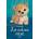 Zatoulané štěně