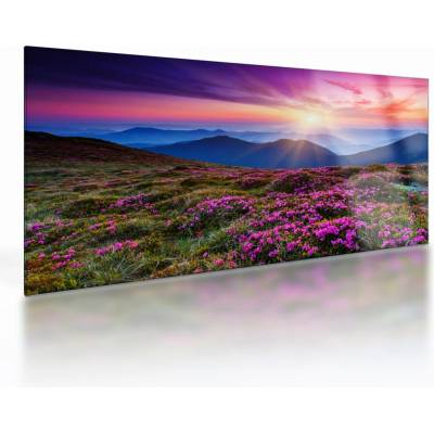 Sklenený obraz - Horská rozkvitnutá krajina, jednodielne 100x50 cm na skle