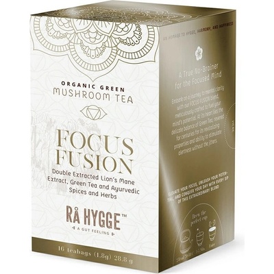 Ra Hygge BIO Focus Fusion zelený čaj s Lion´s mane 16 ks