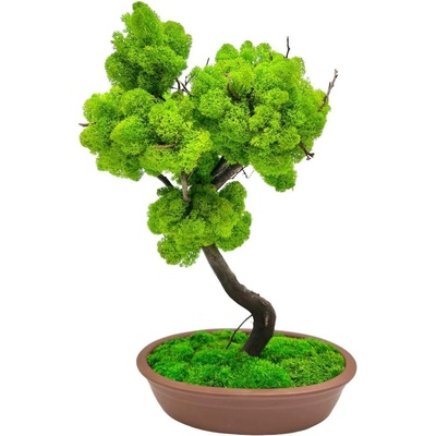 Bonsaj bezúdržbový Brown 40cm