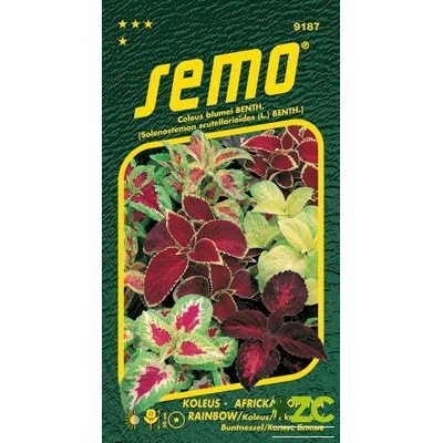 SEMO Koleus (Africká kopřiva) - Rainbow 0,15g